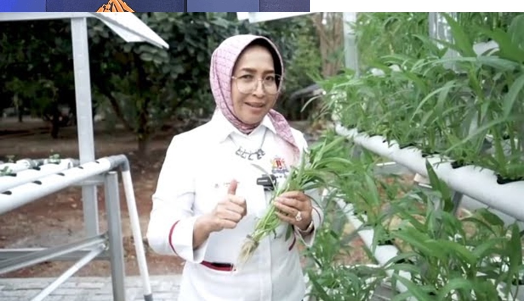 KADIN DKI Sukses Bina UMKM Pertanian dan Peternakan, Ini Rahasianya