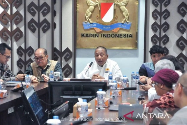 Kadin Soroti Krisis Likuiditas, Anindya Bakrie: Dunia Usaha Sulit Dapat Pembiayaan!