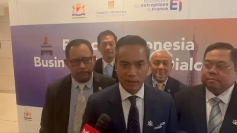 Kadin Pastikan Eksekusi MoU dengan Prancis dan Uni Eropa, Anindya: Bisnis Tak Perlu Menunggu