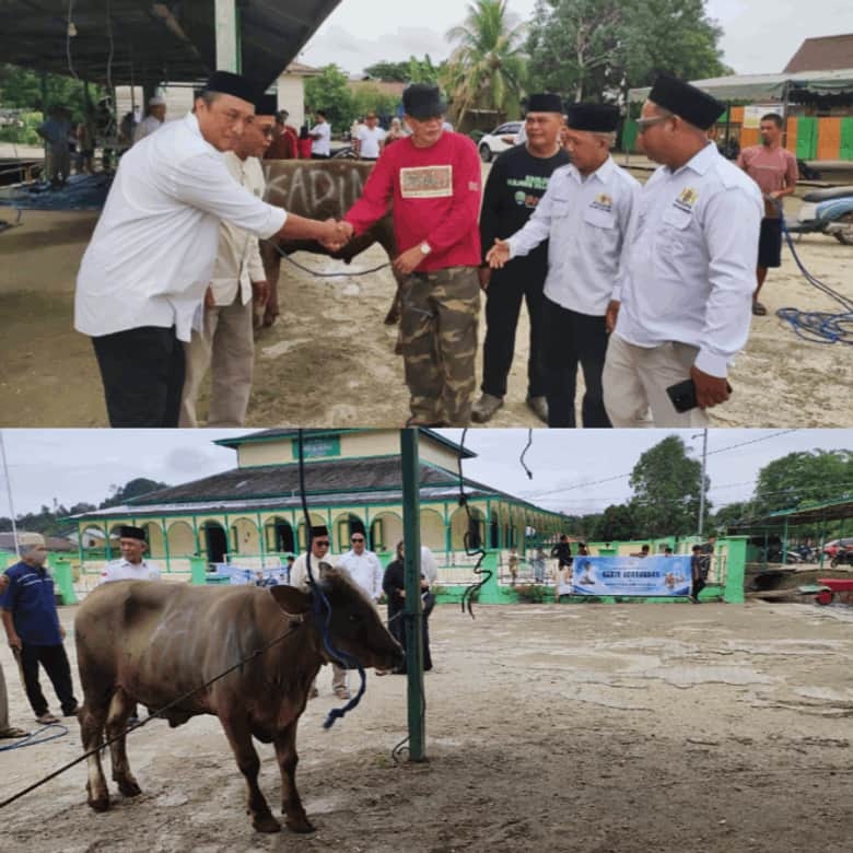 Kadin Indonesia Salurkan Sapi Kurban ke Masjid Tertua di Kaltara