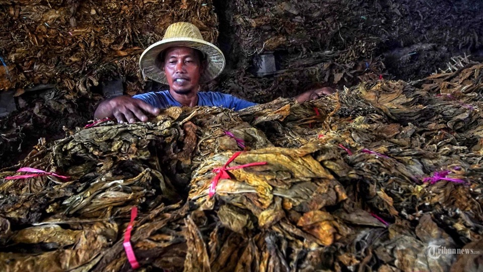Industri Tembakau Jadi Sektor Padat Karya, Kadin Minta Pemerintah Berfokus Tumpas Produk Ilegal    