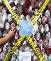 10 Juta Gen Z Menganggur, KADIN: Bisa Jadi Indonesia Cemas